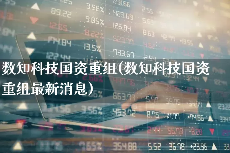 数知科技国资重组(数知科技国资重组最新消息)_https://www.ljyuan-tech.com_北交所_第1张