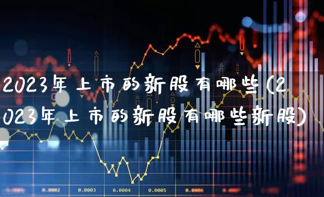 2023年上市的新股有哪些(2023年上市的新股有哪些新股)_https://www.ljyuan-tech.com_北交所_第1张