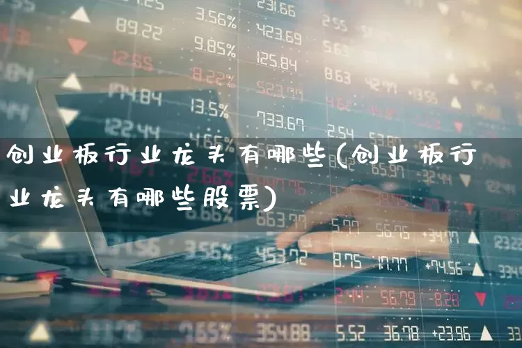 创业板行业龙头有哪些(创业板行业龙头有哪些股票)_https://www.ljyuan-tech.com_上交所_第1张
