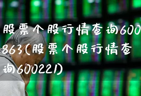 股票个股行情查询600863(股票个股行情查询600221)_https://www.ljyuan-tech.com_上交所_第1张