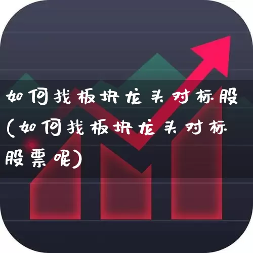 如何找板块龙头对标股(如何找板块龙头对标股票呢)_https://www.ljyuan-tech.com_深交所_第1张