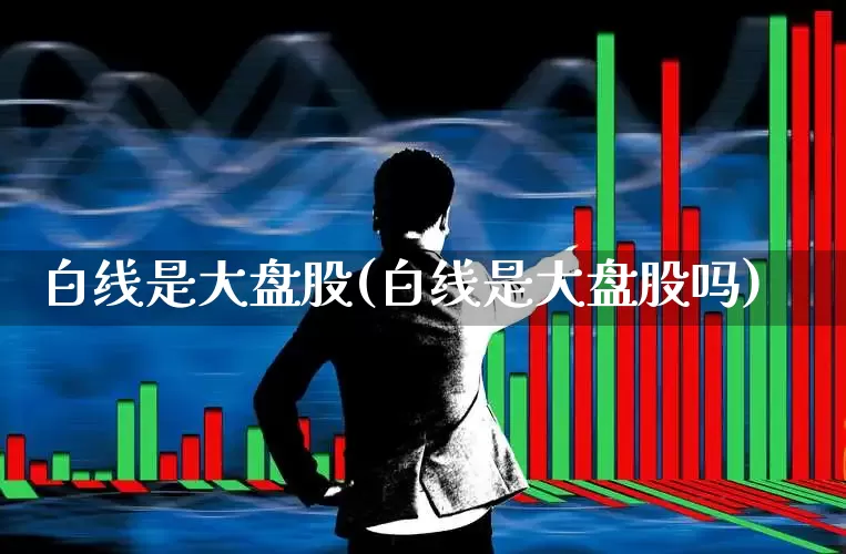 白线是大盘股(白线是大盘股吗)_https://www.ljyuan-tech.com_创业板_第1张