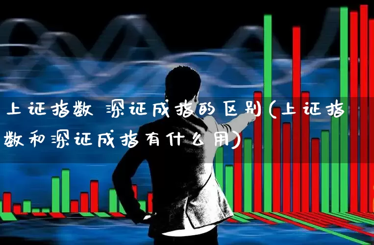 上证指数 深证成指的区别(上证指数和深证成指有什么用)_https://www.ljyuan-tech.com_北交所_第1张