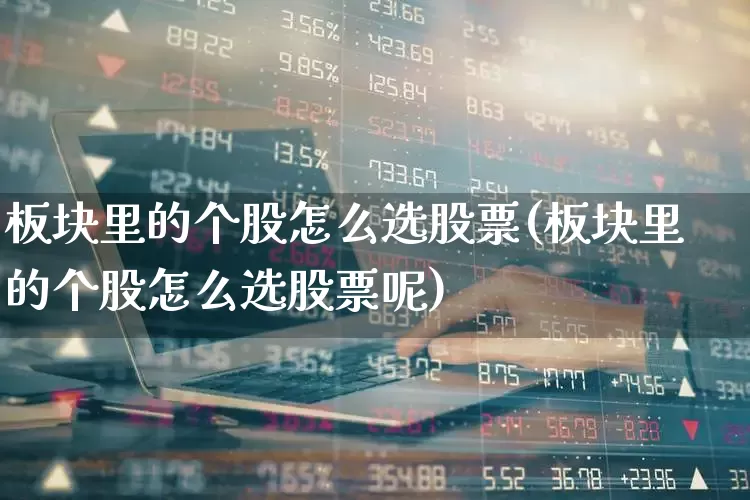 板块里的个股怎么选股票(板块里的个股怎么选股票呢)_https://www.ljyuan-tech.com_深交所_第1张