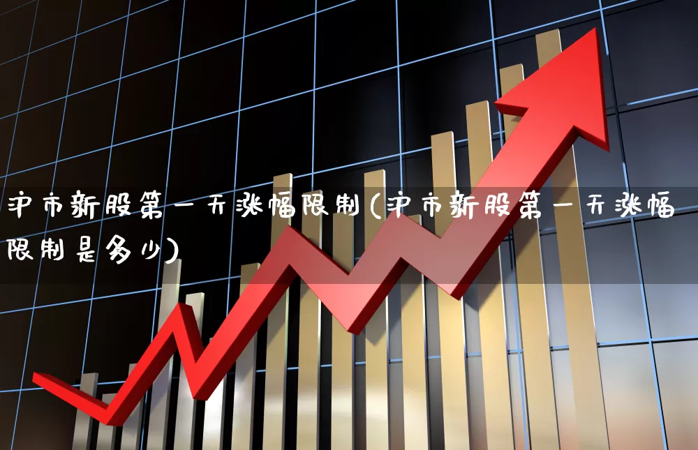 沪市新股第一天涨幅限制(沪市新股第一天涨幅限制是多少)_https://www.ljyuan-tech.com_深交所_第1张