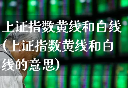 上证指数黄线和白线(上证指数黄线和白线的意思)_https://www.ljyuan-tech.com_创业板_第1张