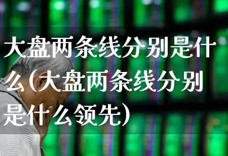 大盘两条线分别是什么(大盘两条线分别是什么领先)_https://www.ljyuan-tech.com_北交所_第1张