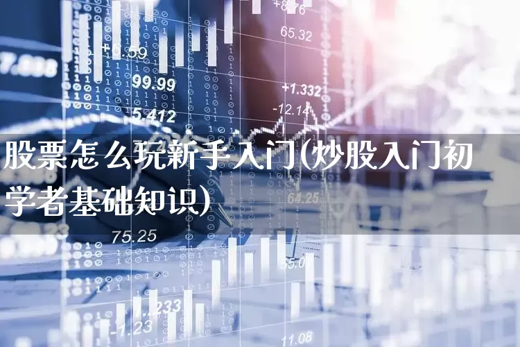 股票怎么玩新手入门(炒股入门初学者基础知识)_https://www.ljyuan-tech.com_科创板_第1张
