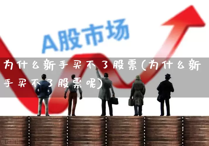 为什么新手买不了股票(为什么新手买不了股票呢)_https://www.ljyuan-tech.com_科创板_第1张