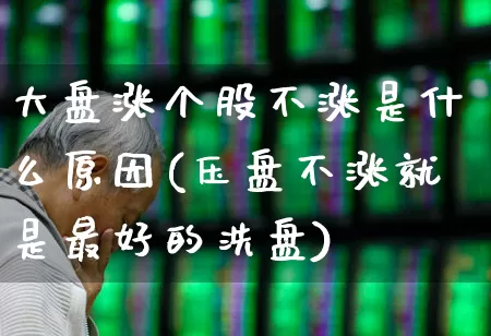 大盘涨个股不涨是什么原因(压盘不涨就是最好的洗盘)_https://www.ljyuan-tech.com_创业板_第1张
