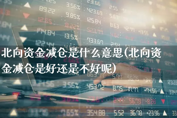 北向资金减仓是什么意思(北向资金减仓是好还是不好呢)_https://www.ljyuan-tech.com_创业板_第1张