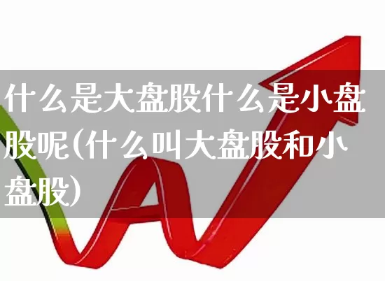 什么是大盘股什么是小盘股呢(什么叫大盘股和小盘股)_https://www.ljyuan-tech.com_上交所_第1张