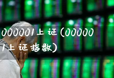 000001上证(000001上证指数)_https://www.ljyuan-tech.com_北交所_第1张