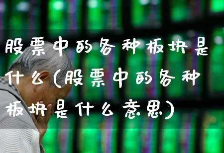 股票中的各种板块是什么(股票中的各种板块是什么意思)_https://www.ljyuan-tech.com_科创板_第1张