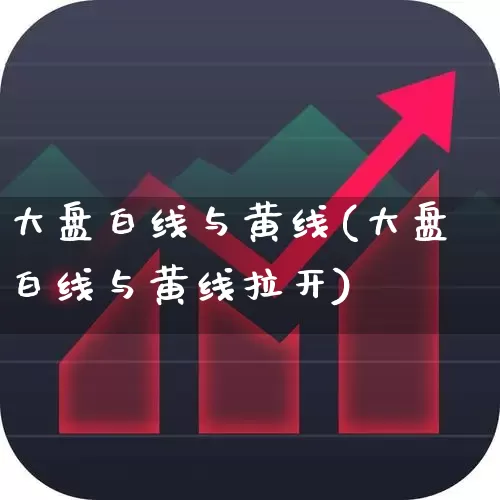 大盘白线与黄线(大盘白线与黄线拉开)_https://www.ljyuan-tech.com_科创板_第1张