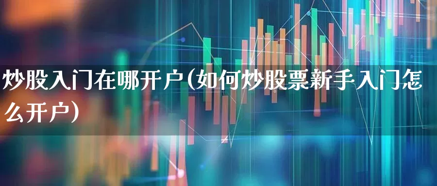 炒股入门在哪开户(如何炒股票新手入门怎么开户)_https://www.ljyuan-tech.com_上交所_第1张