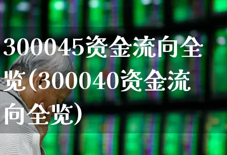 300045资金流向全览(300040资金流向全览)_https://www.ljyuan-tech.com_深交所_第1张