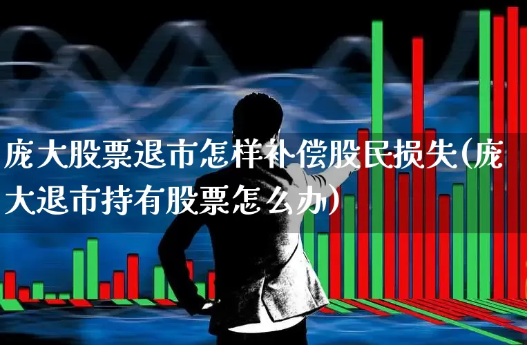 庞大股票退市怎样补偿股民损失(庞大退市持有股票怎么办)_https://www.ljyuan-tech.com_上交所_第1张