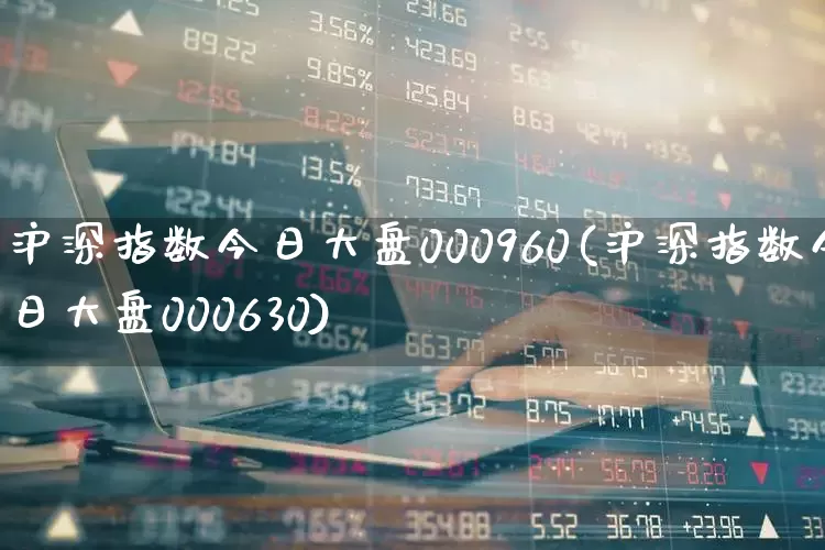 沪深指数今日大盘000960(沪深指数今日大盘000630)_https://www.ljyuan-tech.com_深交所_第1张
