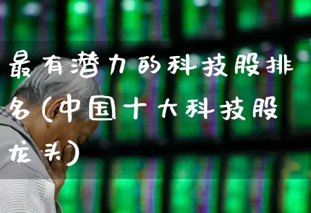 最有潜力的科技股排名(中国十大科技股龙头)_https://www.ljyuan-tech.com_深交所_第1张