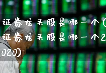 证券龙头股是哪一个(证券龙头股是哪一个2020)_https://www.ljyuan-tech.com_北交所_第1张