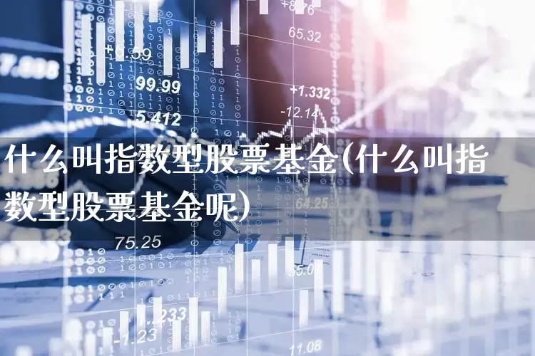什么叫指数型股票基金(什么叫指数型股票基金呢)_https://www.ljyuan-tech.com_创业板_第1张