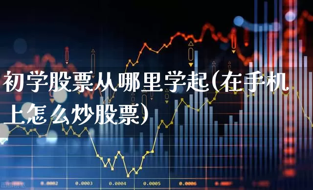 初学股票从哪里学起(在手机上怎么炒股票)_https://www.ljyuan-tech.com_创业板_第1张