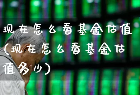 现在怎么看基金估值(现在怎么看基金估值多少)_https://www.ljyuan-tech.com_北交所_第1张