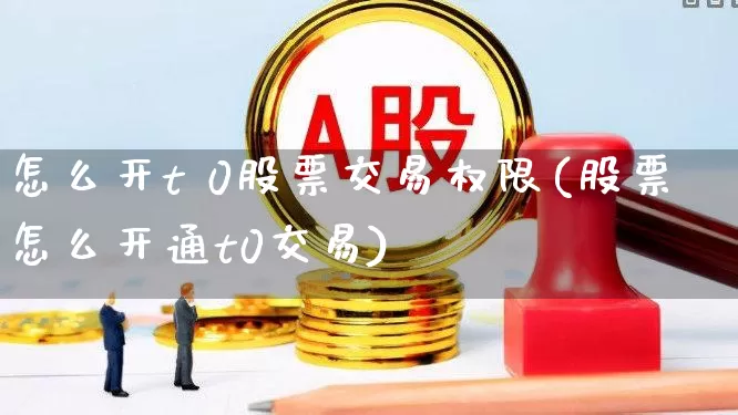 怎么开t 0股票交易权限(股票怎么开通t0交易)_https://www.ljyuan-tech.com_科创板_第1张