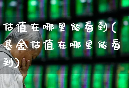估值在哪里能看到(基金估值在哪里能看到)_https://www.ljyuan-tech.com_北交所_第1张