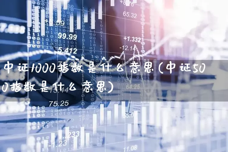 中证1000指数是什么意思(中证500指数是什么意思)_https://www.ljyuan-tech.com_创业板_第1张