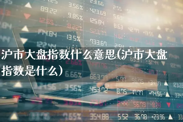 沪市大盘指数什么意思(沪市大盘指数是什么)_https://www.ljyuan-tech.com_科创板_第1张