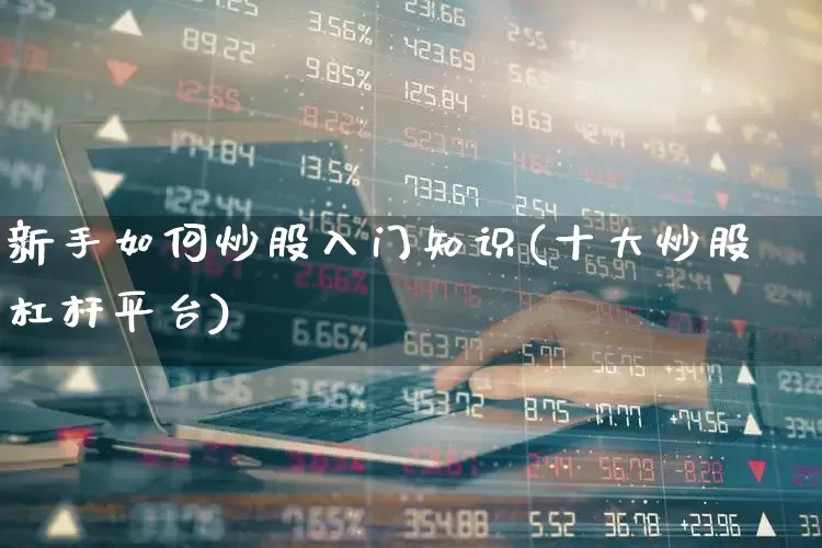新手如何炒股入门知识(十大炒股杠杆平台)_https://www.ljyuan-tech.com_深交所_第1张