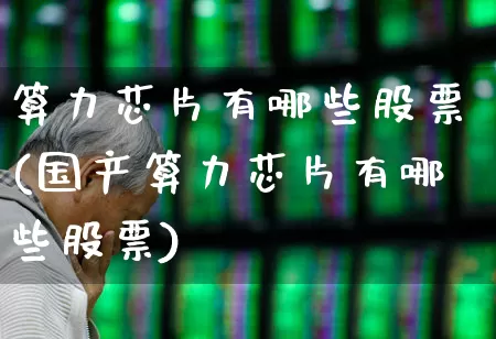 算力芯片有哪些股票(国产算力芯片有哪些股票)_https://www.ljyuan-tech.com_深交所_第1张