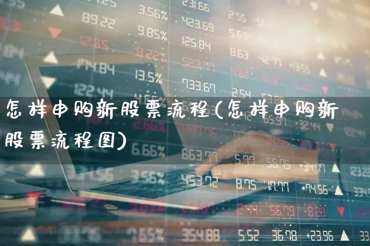 怎样申购新股票流程(怎样申购新股票流程图)_https://www.ljyuan-tech.com_科创板_第1张