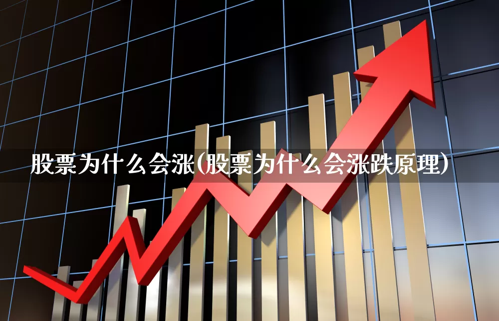 股票为什么会涨(股票为什么会涨跌原理)_https://www.ljyuan-tech.com_创业板_第1张