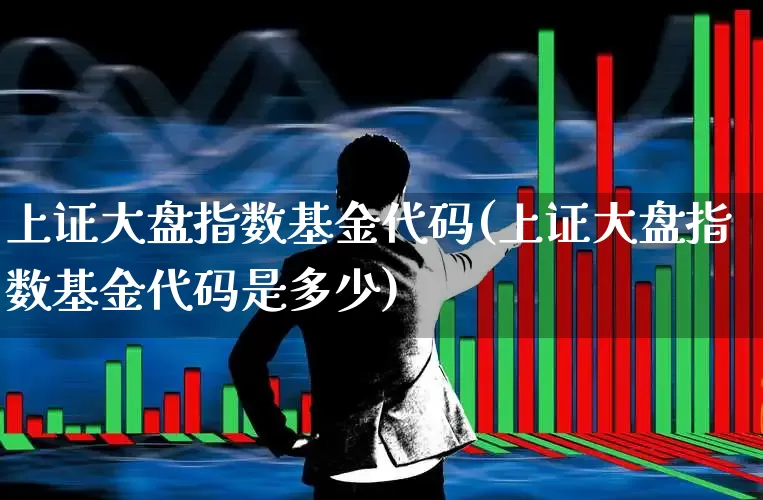 上证大盘指数基金代码(上证大盘指数基金代码是多少)_https://www.ljyuan-tech.com_北交所_第1张