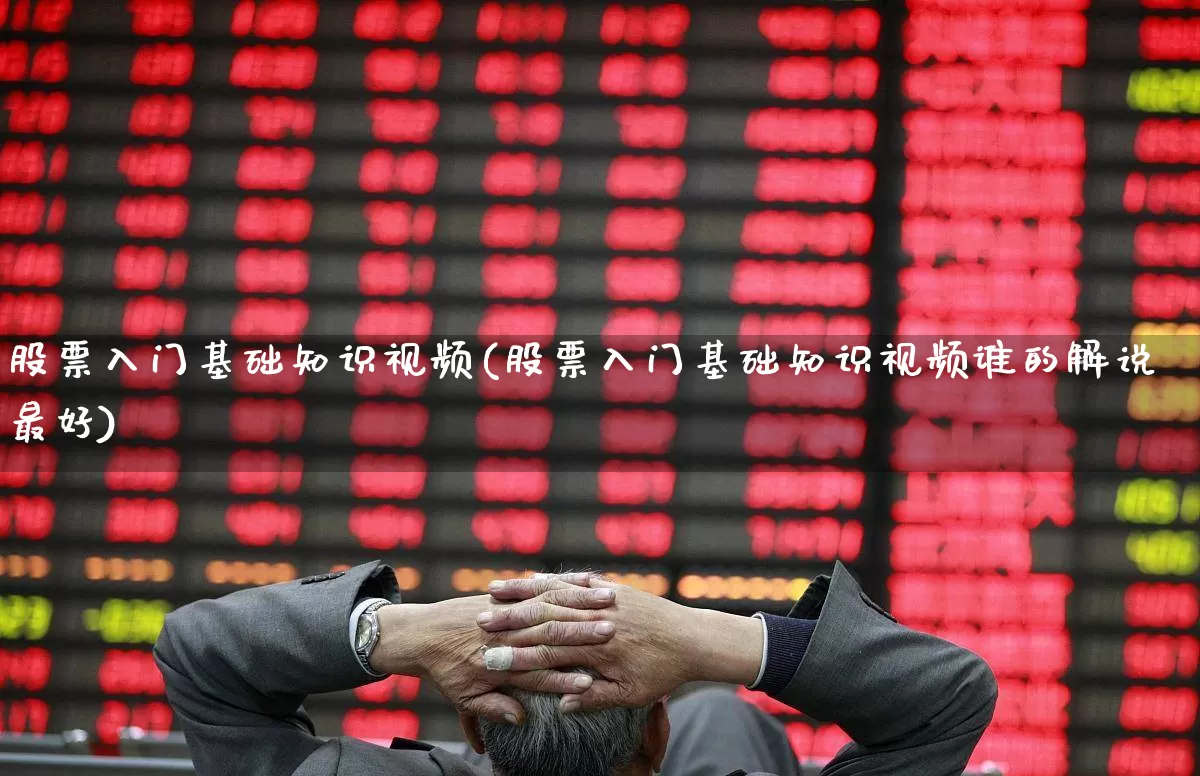 股票入门基础知识视频(股票入门基础知识视频谁的解说最好)_https://www.ljyuan-tech.com_科创吧_第1张