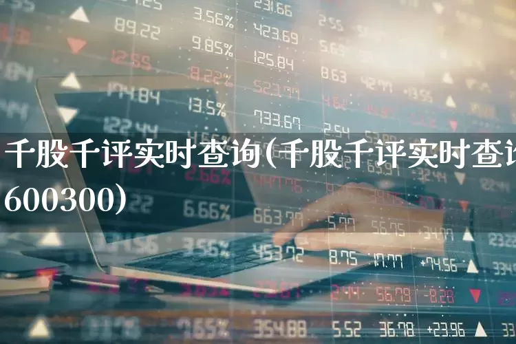 千股千评实时查询(千股千评实时查询600300)_https://www.ljyuan-tech.com_创业板_第1张