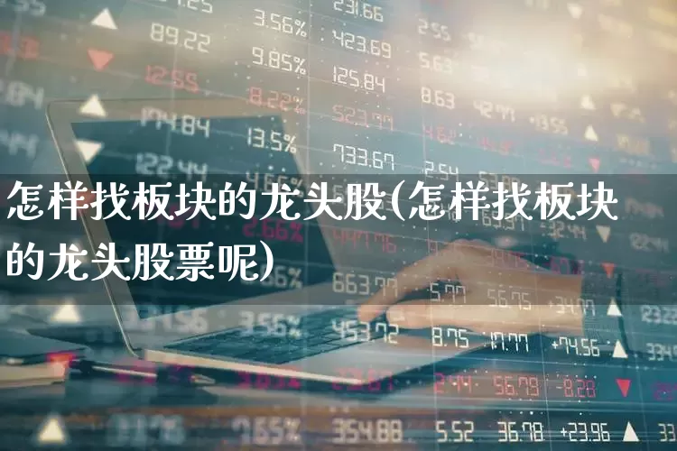 怎样找板块的龙头股(怎样找板块的龙头股票呢)_https://www.ljyuan-tech.com_科创板_第1张