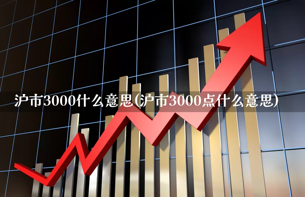 沪市3000什么意思(沪市3000点什么意思)_https://www.ljyuan-tech.com_创业板_第1张