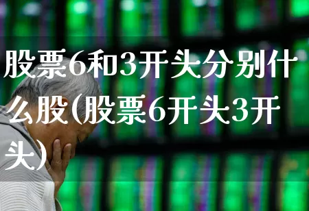 股票6和3开头分别什么股(股票6开头3开头)_https://www.ljyuan-tech.com_深交所_第1张