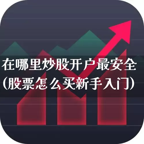 在哪里炒股开户最安全(股票怎么买新手入门)_https://www.ljyuan-tech.com_科创板_第1张