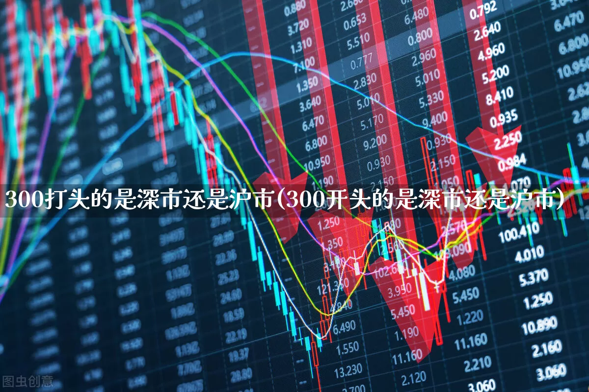 300打头的是深市还是沪市(300开头的是深市还是沪市)_https://www.ljyuan-tech.com_北交所_第1张