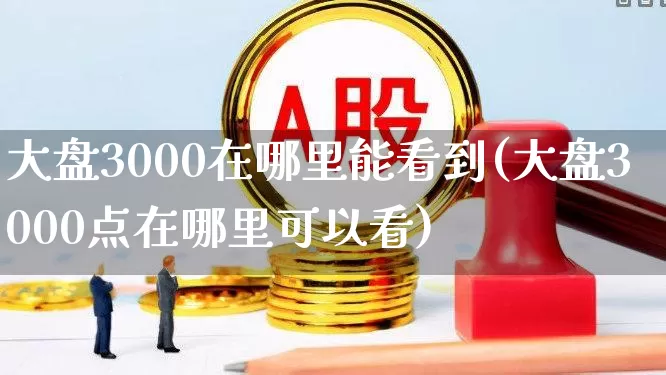 大盘3000在哪里能看到(大盘3000点在哪里可以看)_https://www.ljyuan-tech.com_科创板_第1张