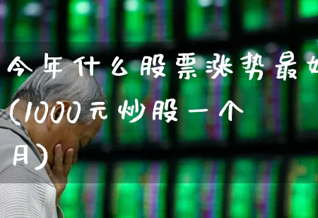 今年什么股票涨势最好(1000元炒股一个月)_https://www.ljyuan-tech.com_上交所_第1张