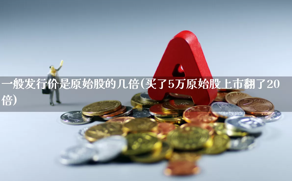 一般发行价是原始股的几倍(买了5万原始股上市翻了20倍)_https://www.ljyuan-tech.com_深交所_第1张