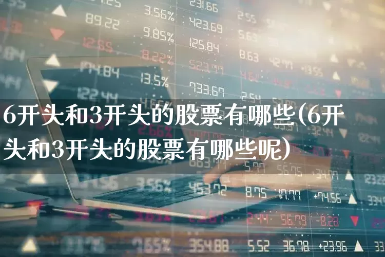 6开头和3开头的股票有哪些(6开头和3开头的股票有哪些呢)_https://www.ljyuan-tech.com_北交所_第1张