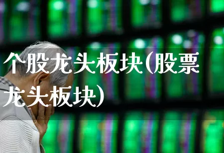 个股龙头板块(股票龙头板块)_https://www.ljyuan-tech.com_上交所_第1张