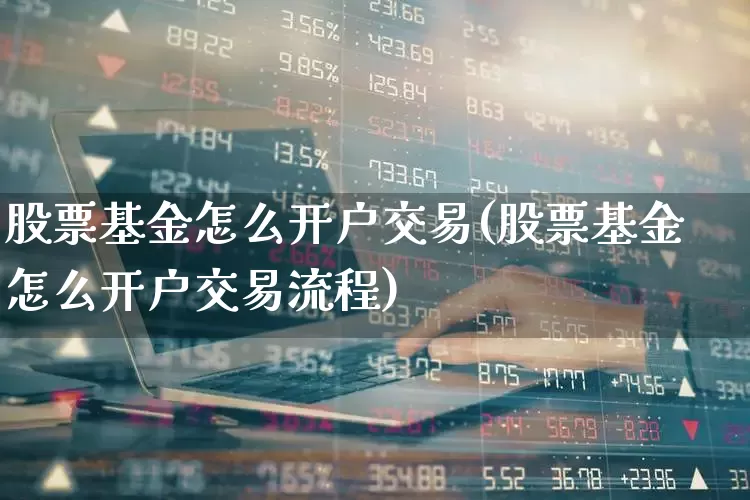 股票基金怎么开户交易(股票基金怎么开户交易流程)_https://www.ljyuan-tech.com_北交所_第1张